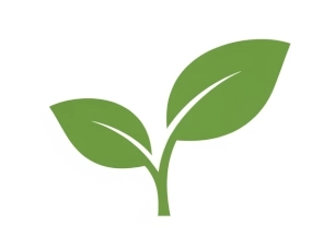 Nombre Consultora ISO